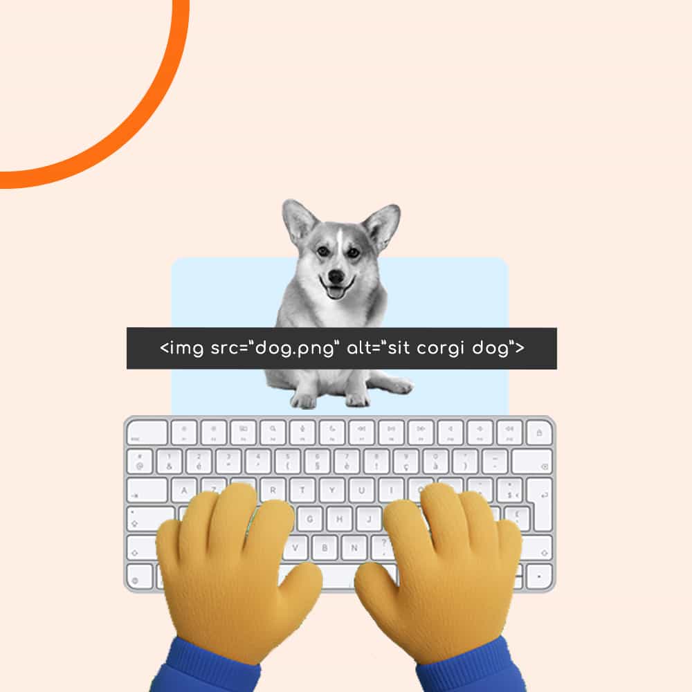 Audit alt texte wordpress lyode 1