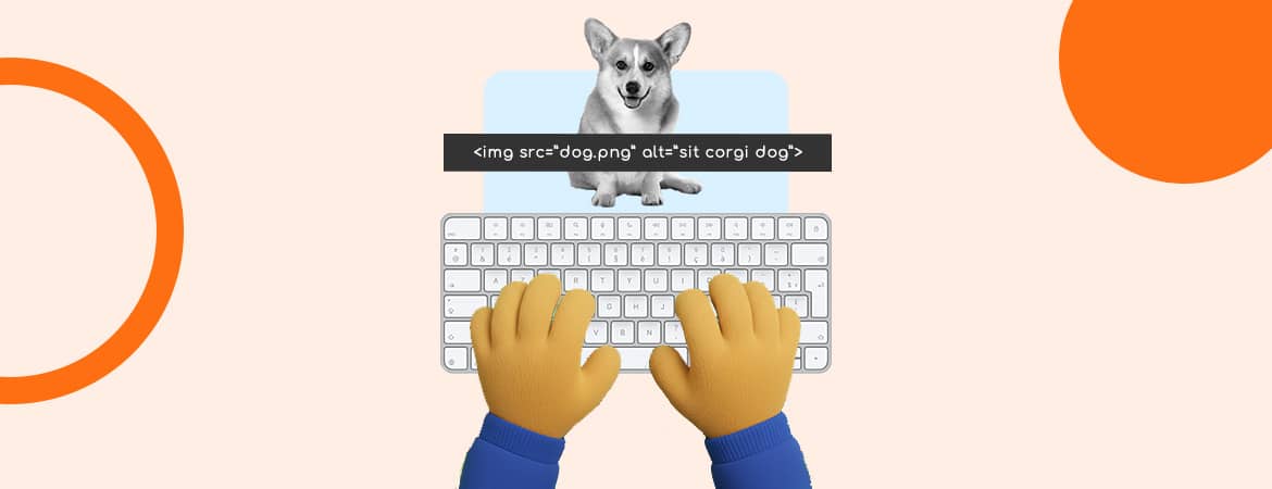 Audit alt texte wordpress lyode 2